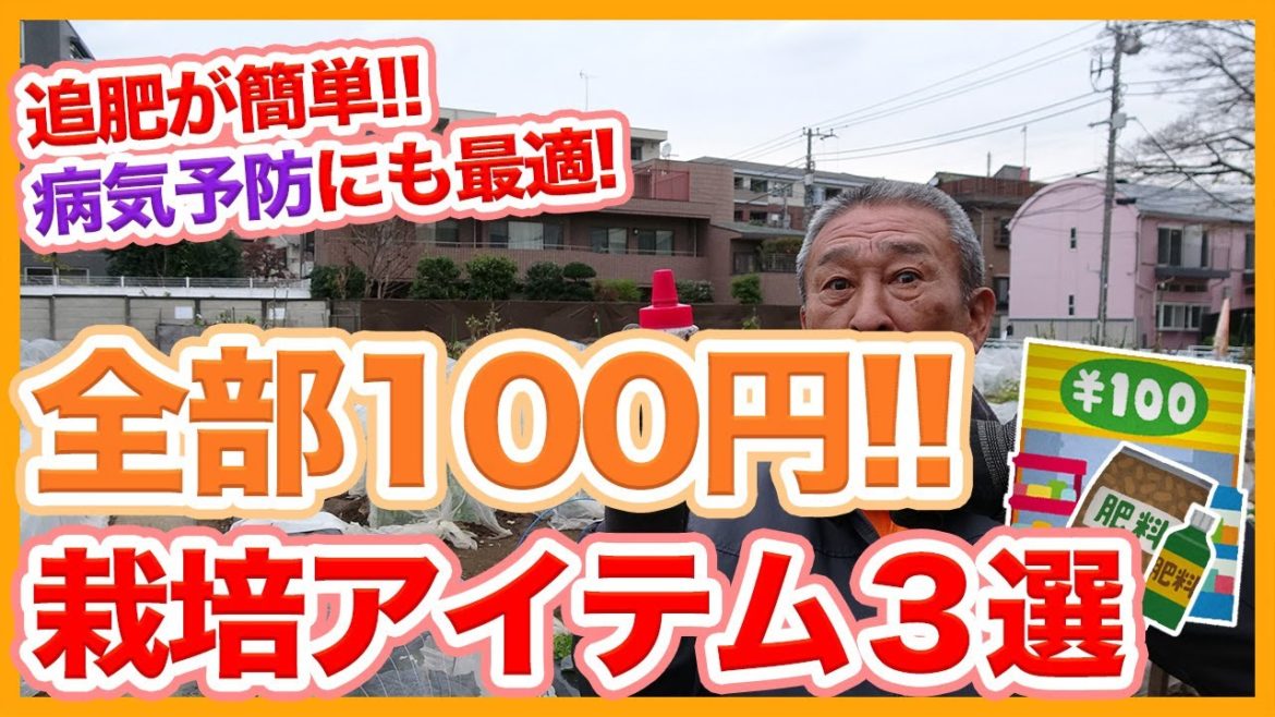 家庭菜園や農園栽培で全部100円!追肥や病気予防を簡単にする栽培アイテム3選!【農家直伝】/Tips for fertilizing with materials from a 100yen shop 家庭菜園や農園栽培で全部100円!追肥や病気予防を簡単にする栽培アイテム3選!【農家直伝】/Tips for fertilizing with materials from a 100yen shop