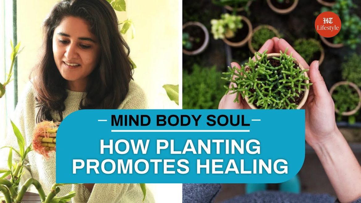 How Planting Promotes Healing | Mind, Body, Soul How Planting Promotes Healing | Mind, Body, Soul