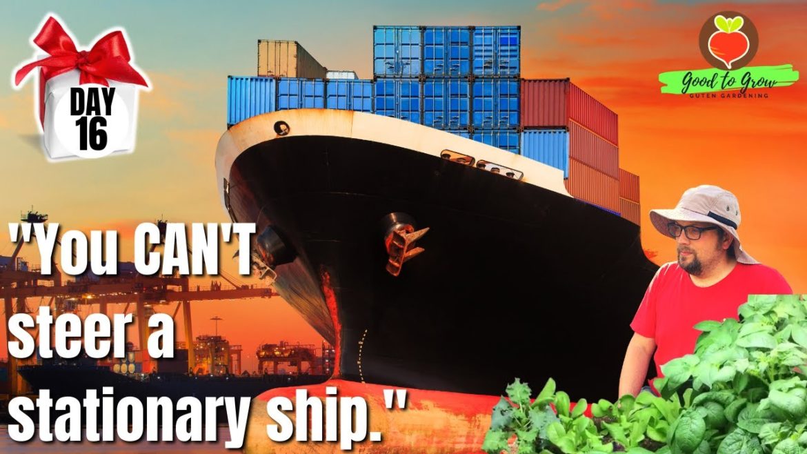 Indoor Garden Tour 2023 (You can't steer a stationary ship)-and it's DAY 16 of our 31 Days of Giving Indoor Garden Tour 2023 (You can't steer a stationary ship)-and it's DAY 16 of our 31 Days of Giving