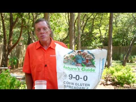 Gardening Tips : What Is Corn Gluten? Gardening Tips : What Is Corn Gluten?
