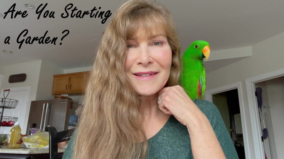 5 Things to Consider Before You Start Your Garden