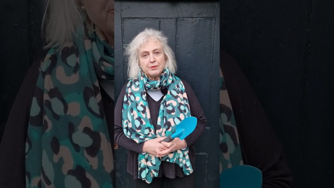 Is it too late to plant bulbs in January? Is it too late to plant bulbs in January?