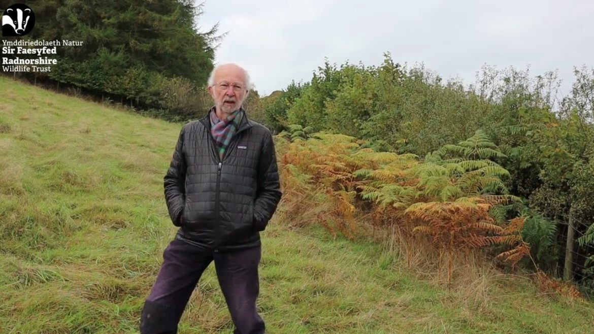 Market Gardening Opportunity Market Gardening Opportunity