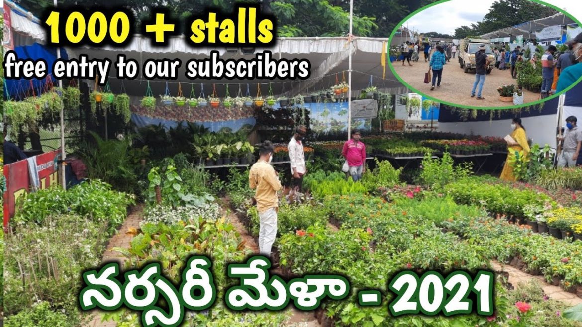 Nursery Mela - 2021 | 1000 Stalls | All Gardening Equipment at one place | Free Entry to our Subs |