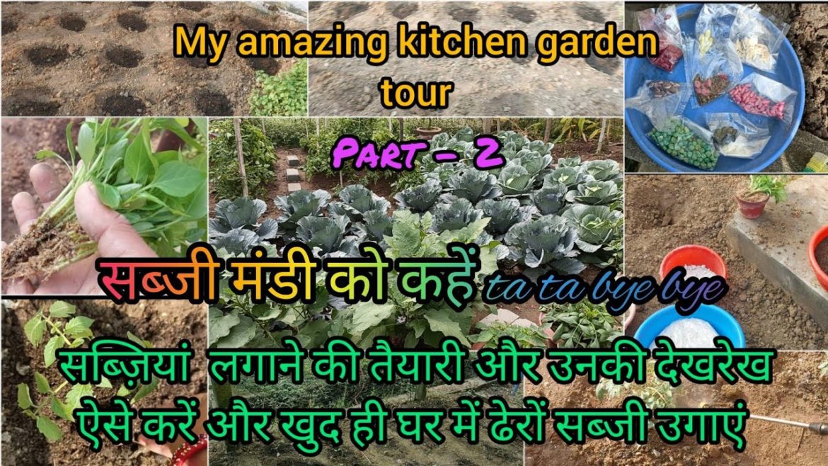 Easiest Way to Grow Vegetables at Your Home Garden || You Can Easily Grow These Vegetable at Home |