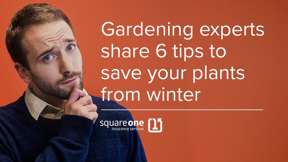 6 Tips for Revitalizing Your Garden after Winter | Advice for Homeowners