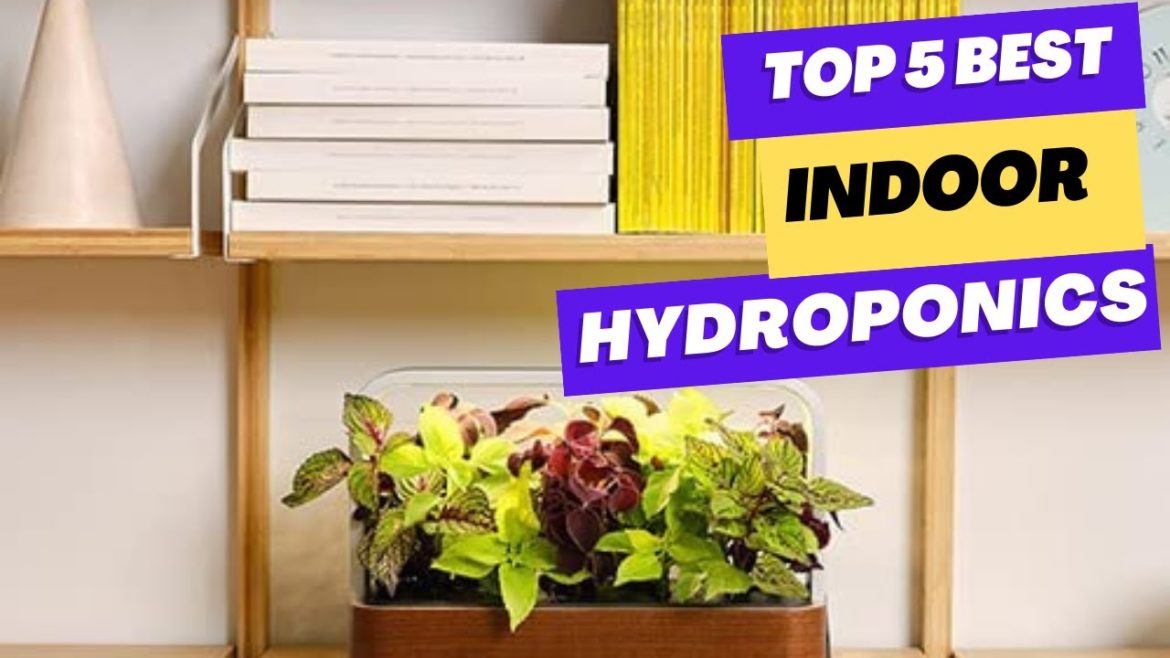 Best Indoor Hydroponic Systems 2023 Best Indoor Hydroponic Systems 2023