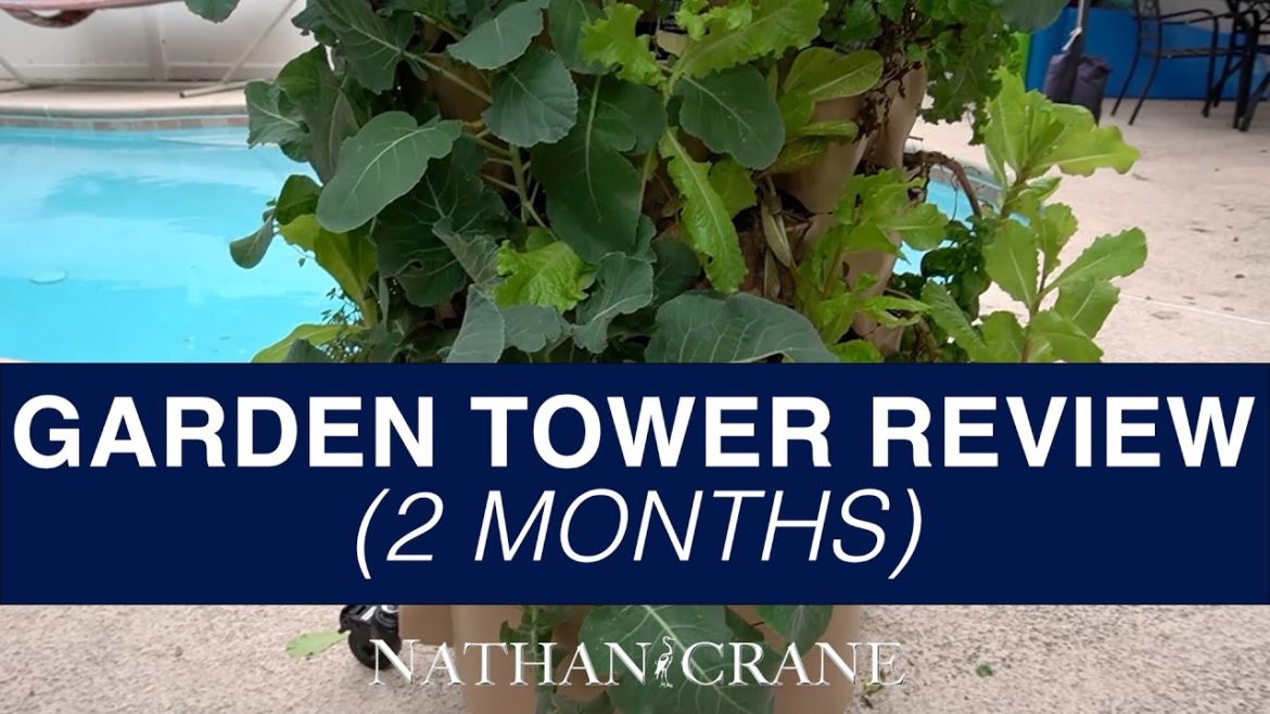 Garden Tower Review (2 Months of Use)