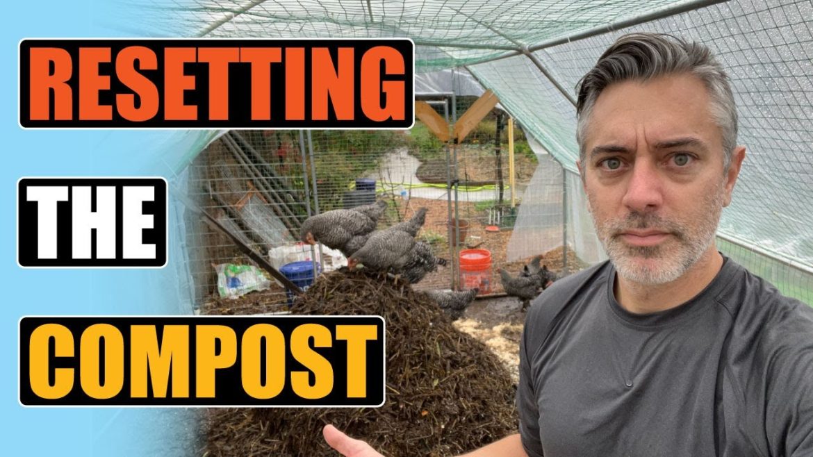 Hitting Reset on the Compost Pile - Adding Nitrogen for More Heat