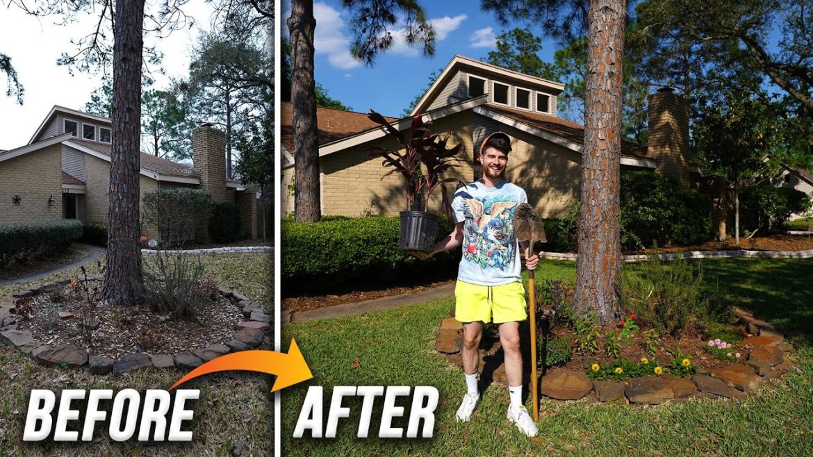 Extreme Front Yard Makeover! Full DIY & How To  Tutorial | Texas Native Plant Gardening