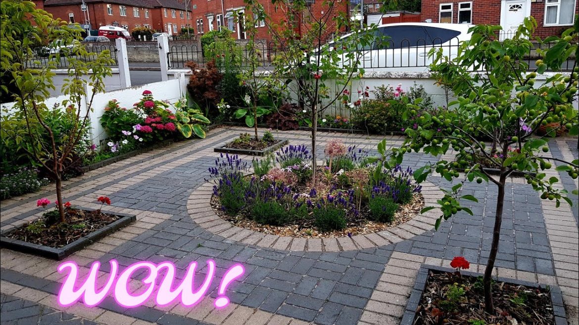 Everyone who pass by this Stunning Front yard flower Garden cum mini orchard tour says WOW! Everyone who pass by this Stunning Front yard flower Garden cum mini orchard tour says WOW!