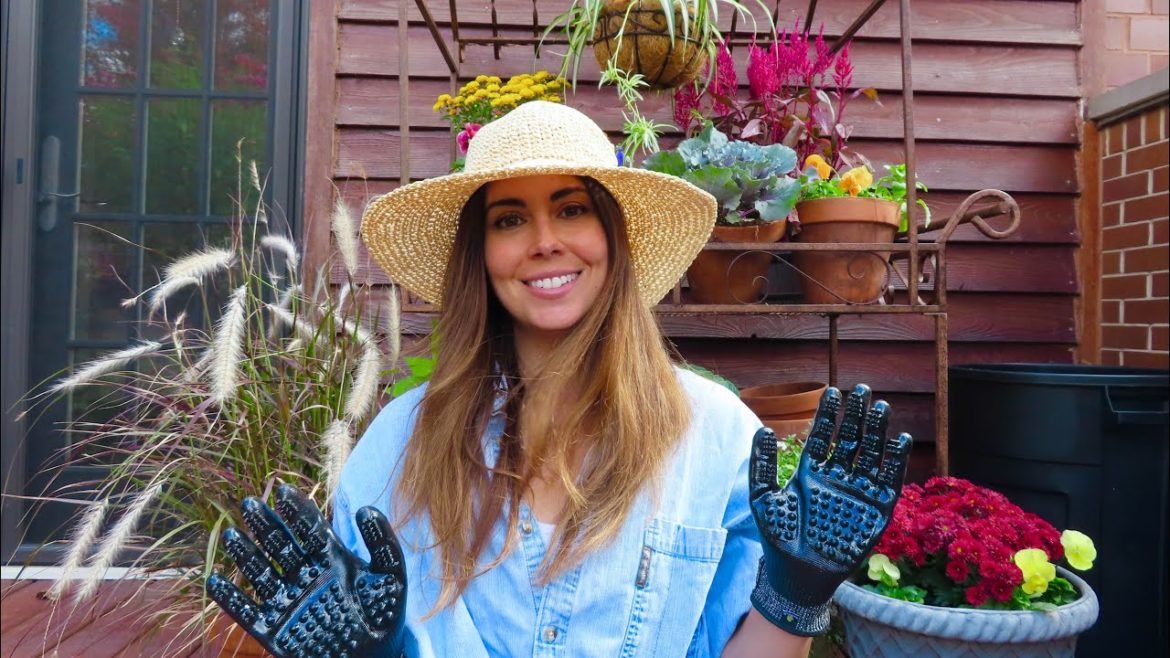 Favorite Garden Additions of 2022 | Container Gardening