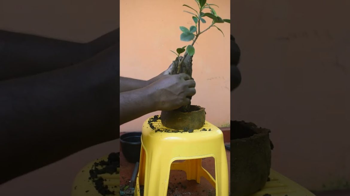 #satisfying #satisfying