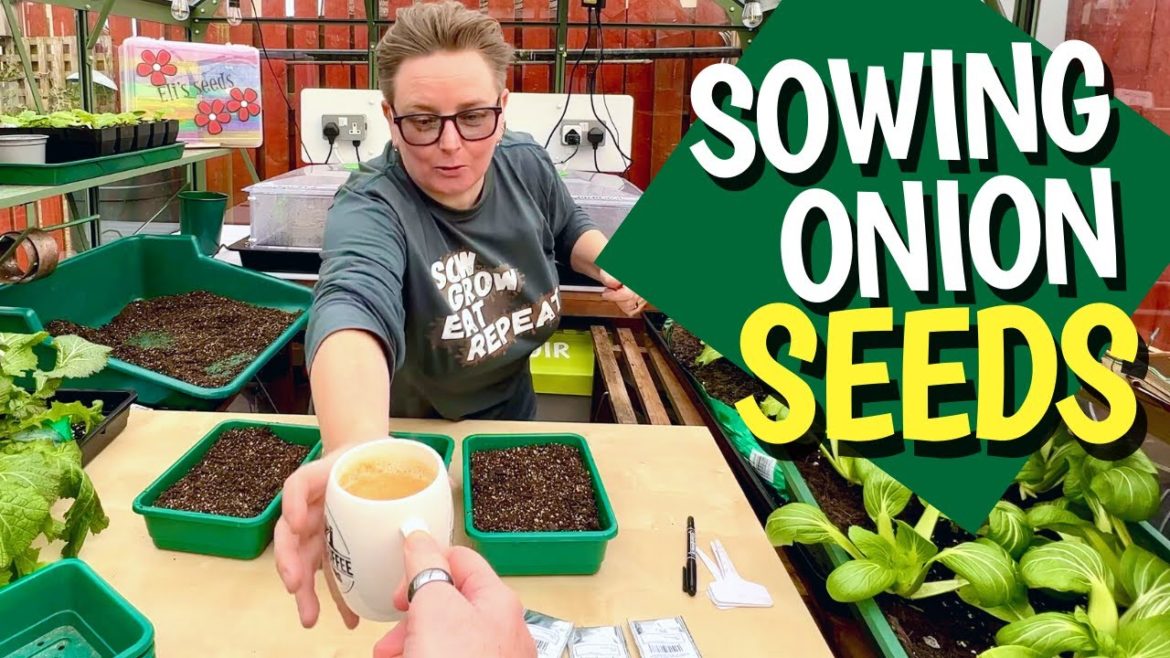 Why planting onion seeds is better than planting sets