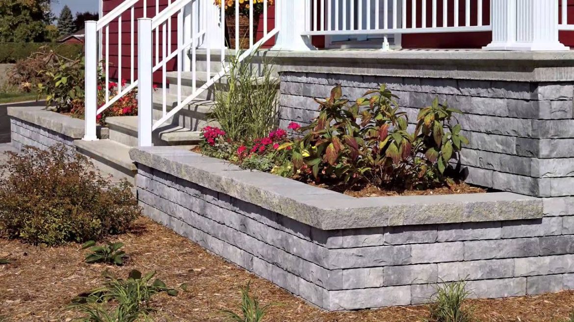 How to landscape your backyard How to landscape your backyard