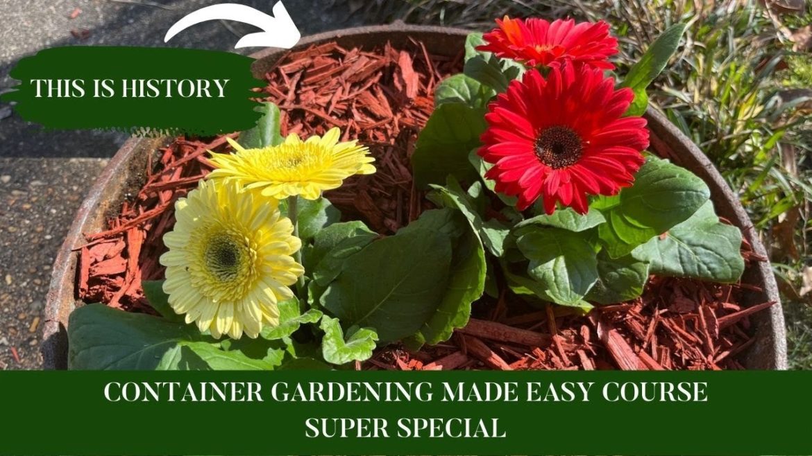 Container Gardening Made Easy – Special Container Gardening Course Container Gardening Made Easy - Special Container Gardening Course