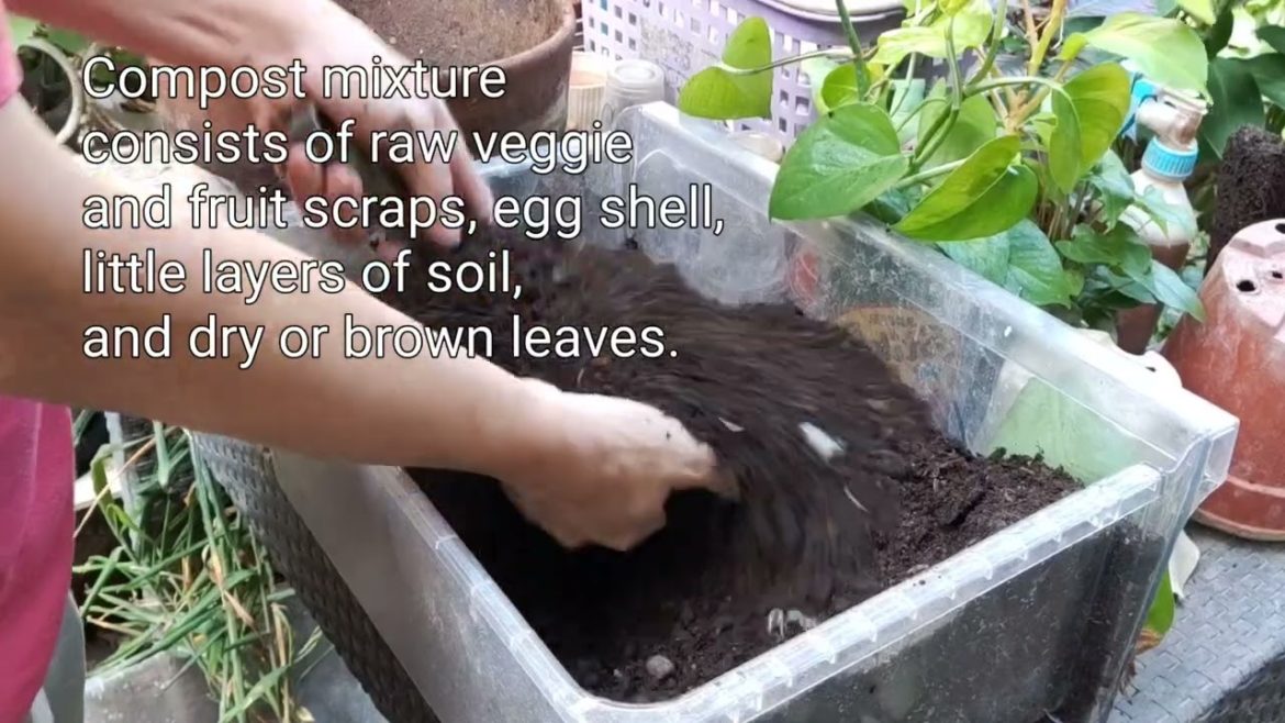 Backyard compost. Third harvest. 💚☺️🌱 #gardening #compost #fertilizer #organic #soil #green
