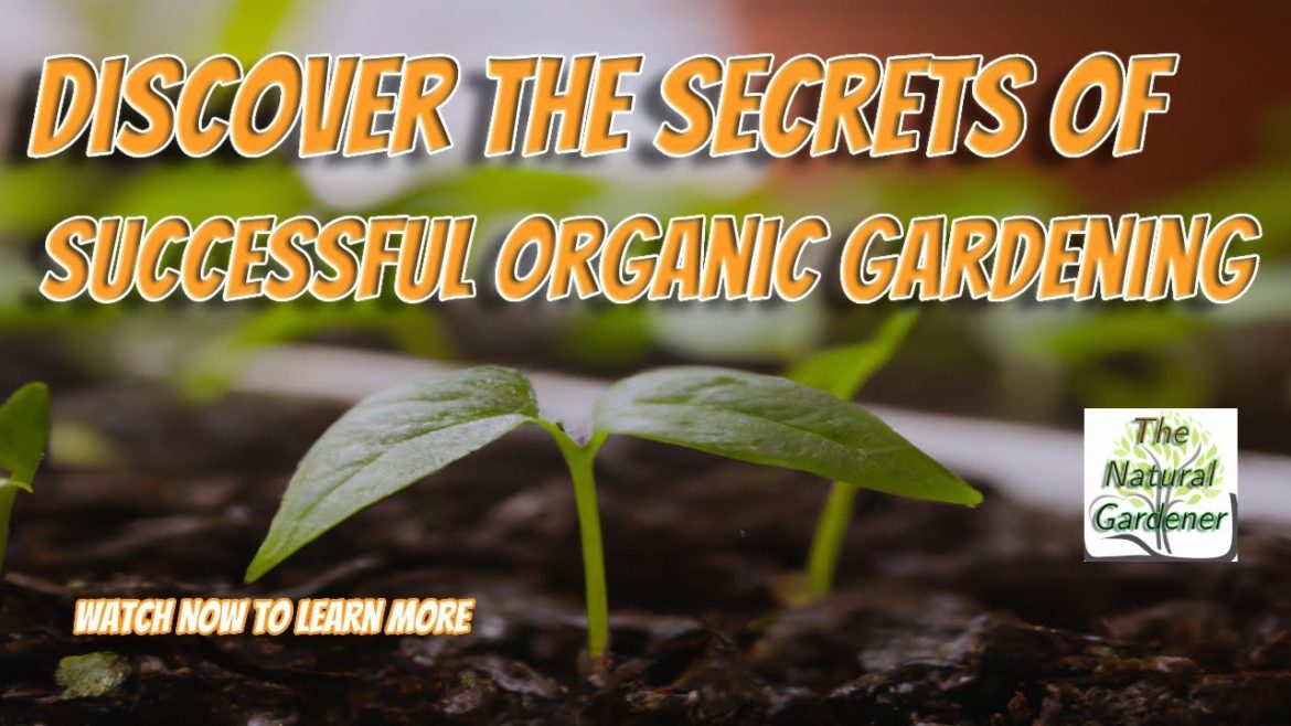 5 Must Know Tips for Beginner Organic Gardeners