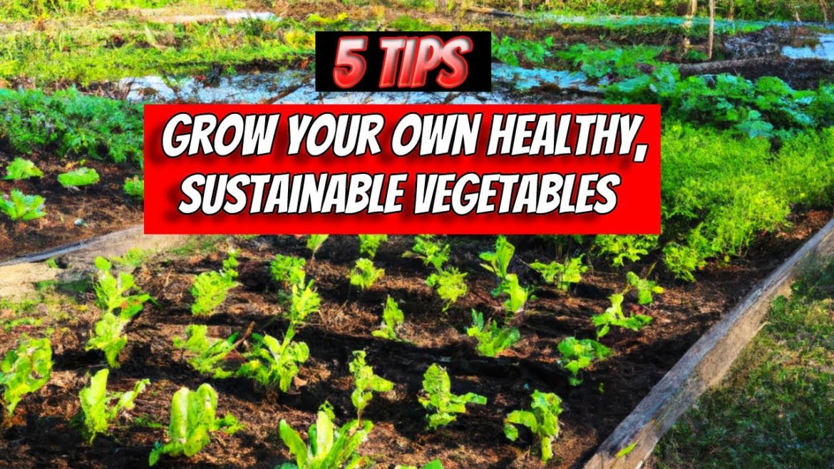 5 Essential Tips for Starting Your First Organic Garden