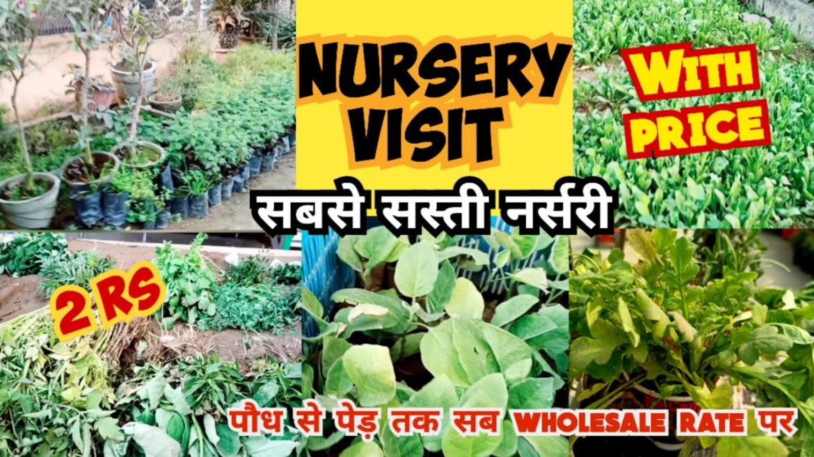 Nursery Visit With Price #naturetreasure