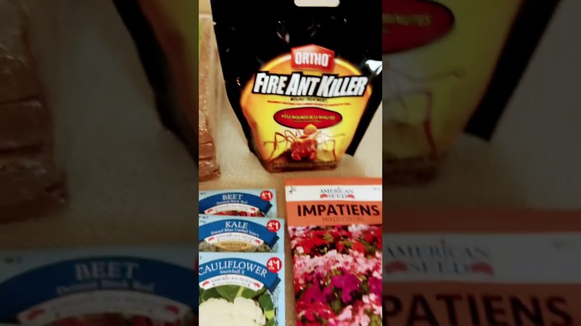 More Gardening seeds 🤷🏾‍♀️