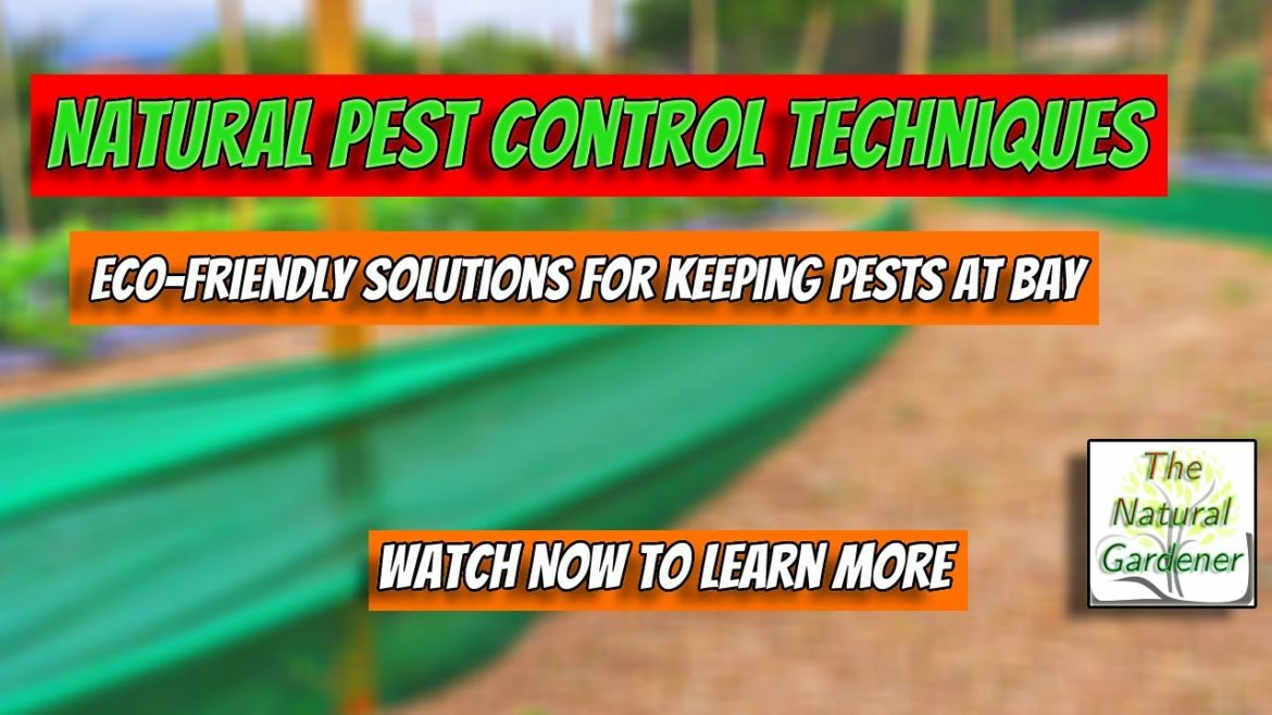 Natural Pest Control Techniques for Your Garden
