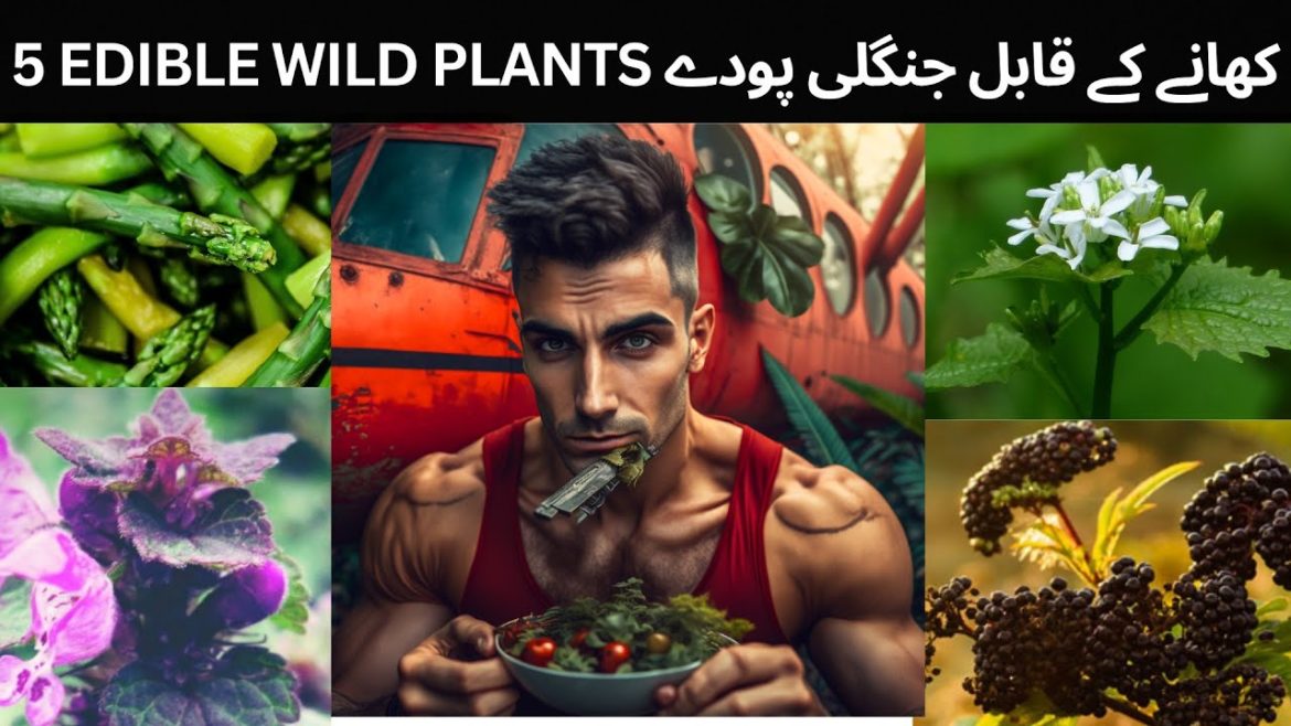 top 5 plants you can actually eat in the wild west @hammadtv6857