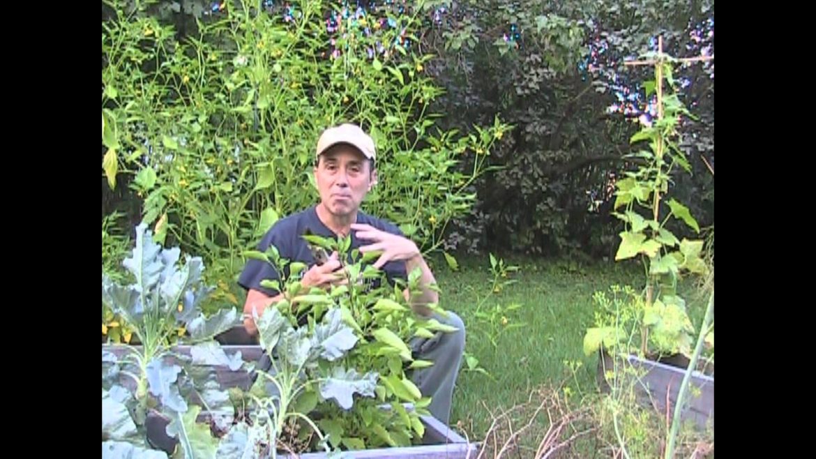 5 Garden tips in Less than 5 minutes! 5 Garden tips in Less than 5 minutes!