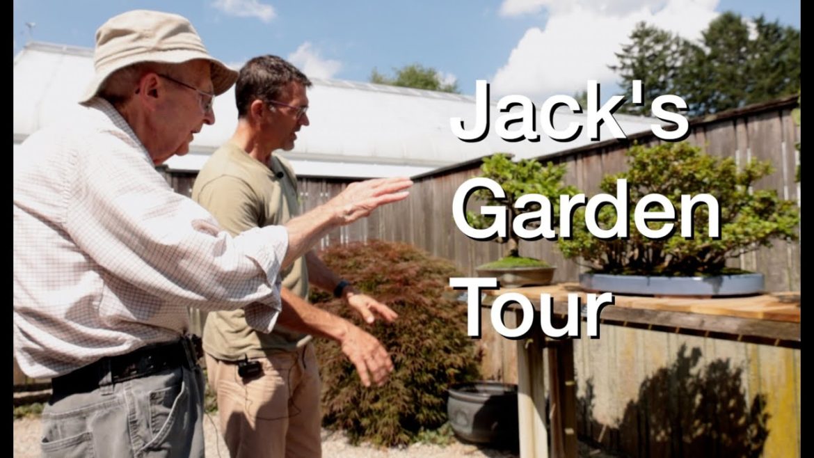 Jack's Hidden Lake Garden Tour: Dave's Bonsai E282 Jack's Hidden Lake Garden Tour: Dave's Bonsai E282