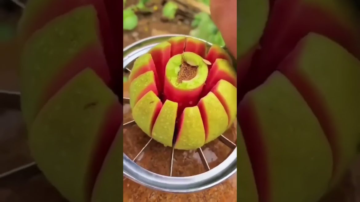 Red Guava | Best great cutting tips & tricks | Farm Fresh Ninja Fruit Cutting | #Satisfying #shorts Red Guava | Best great cutting tips & tricks | Farm Fresh Ninja Fruit Cutting | #Satisfying #shorts