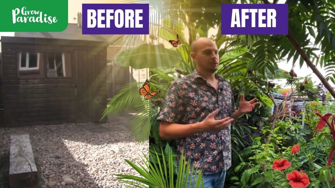 Tropical garden design & build - 4 years in 5 minutes