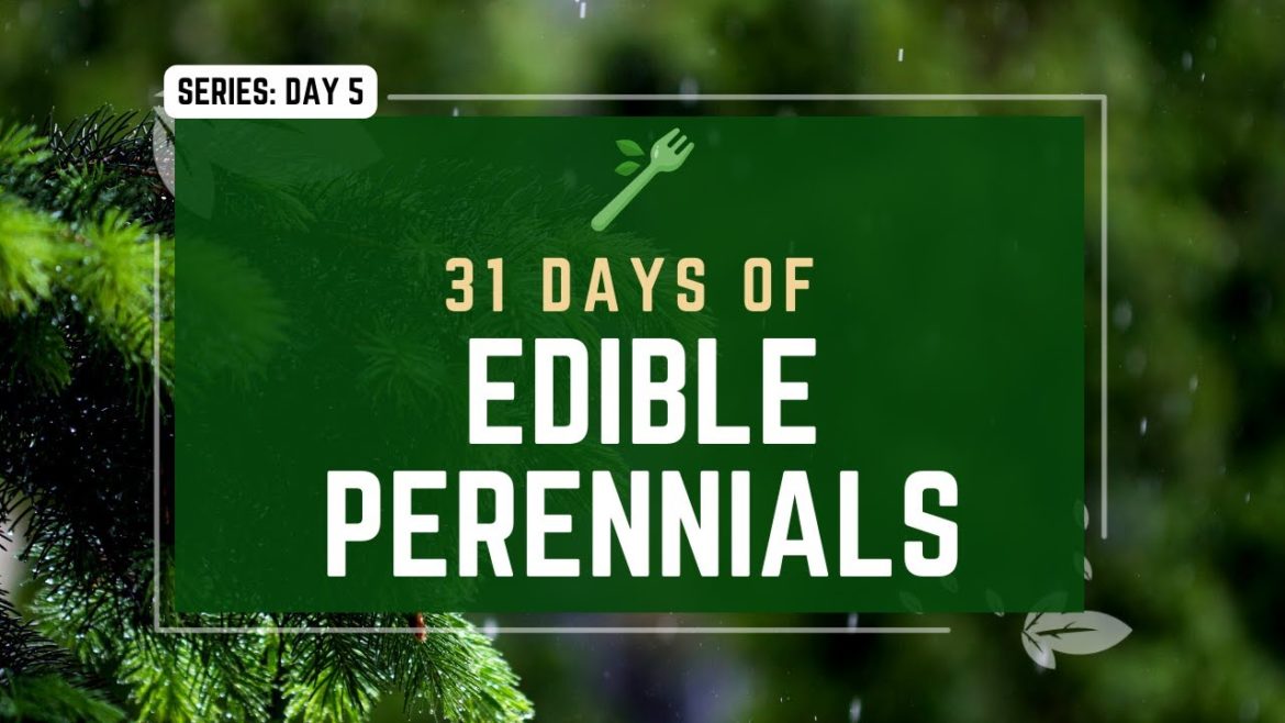 | SERIES DAY 5 | 31 Edible Perennials