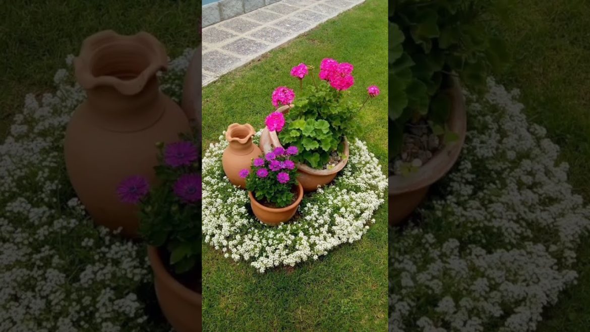 backyard landscaping ideas 2023