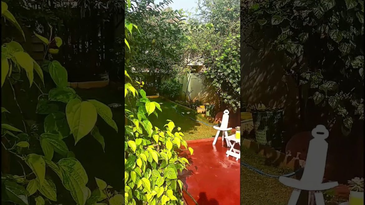 Backyard gardening ideas #relaxing music #backyard garden landscape ideas