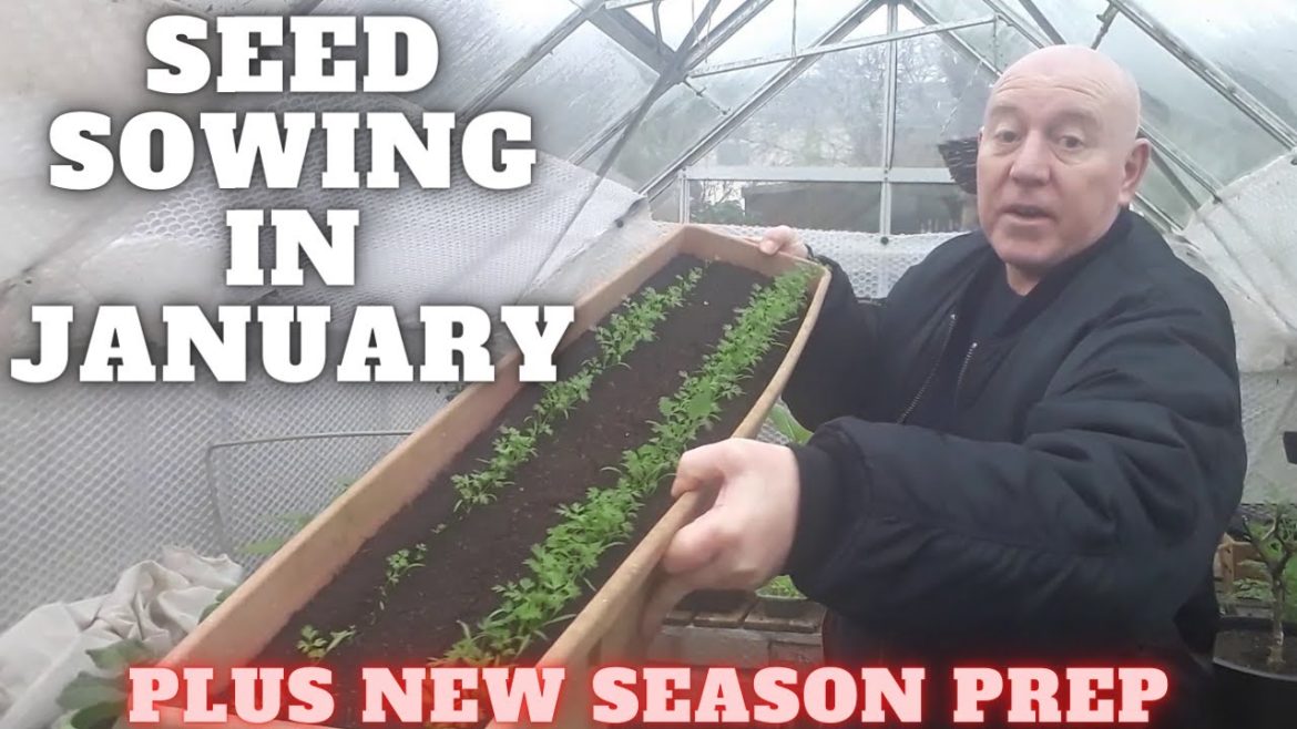 Seed Sowing In January [Gardening Allotment UK] [Grow Vegetables At Home ]
