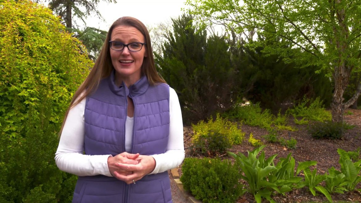 Horticulture Gardening Tips for the Month of May Horticulture Gardening Tips for the Month of May