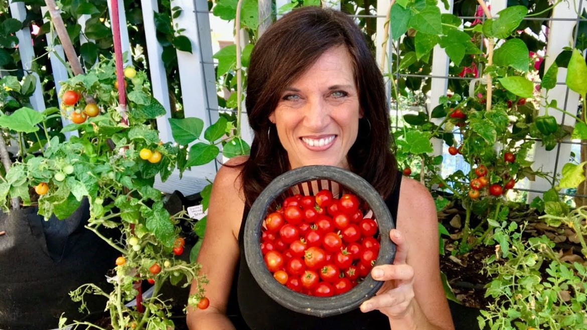 🍅 LIVE: 4 of my Favorite Summer Garden Tips, Q & A (REPLAY)