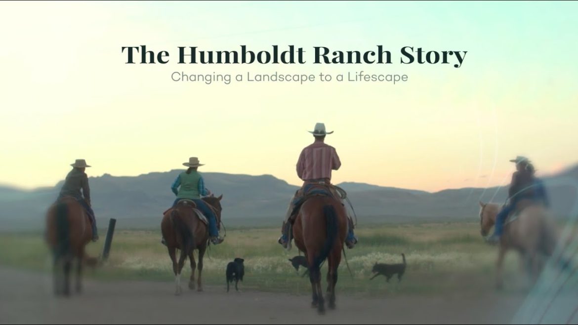 Changing a Landscape to a Lifescape: The Humboldt Ranch