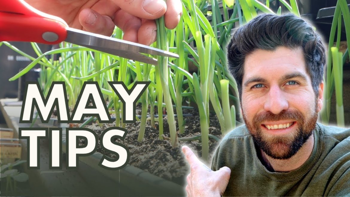 May Gardening Tips - Zone 7 & 8