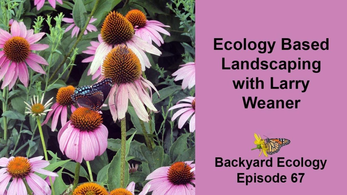 Ecology Based Landscaping with Larry Weaner Ecology Based Landscaping with Larry Weaner