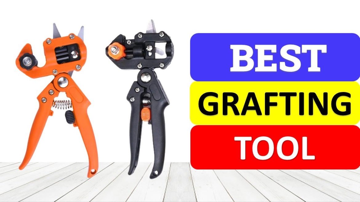 Top 10 Best Grafting Tool In 2023 | Best Grafting Cutting Tool Reviews 2023 Top 10 Best Grafting Tool In 2023 | Best Grafting Cutting Tool Reviews 2023