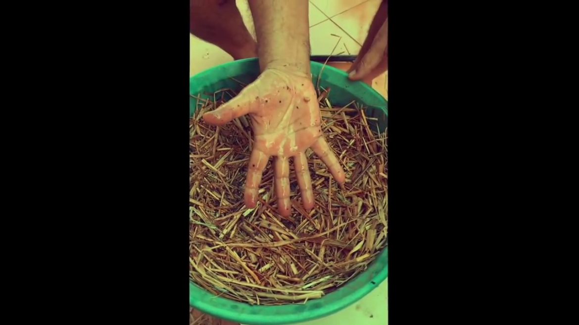 Straw Bale Container Gardening