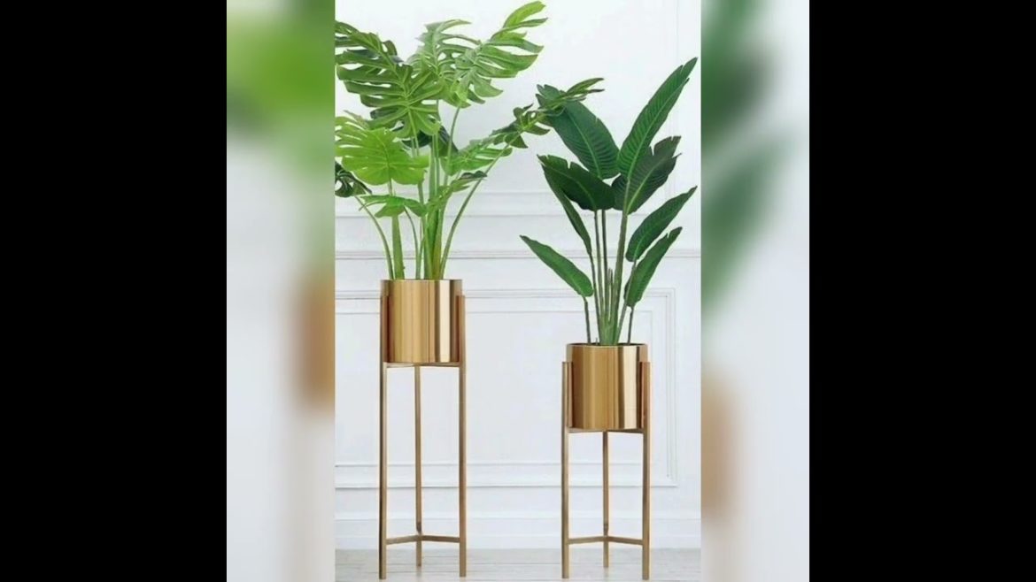 HOME DECOR MODREN PLANT STAND DESIGNS 2023 || #shorts #plantstands #plantsdecor