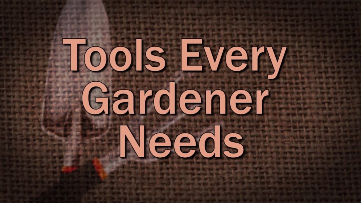 Tools Every Gardener Needs – Family Plot