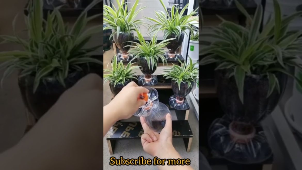 Home decor ideas #shorts #viral