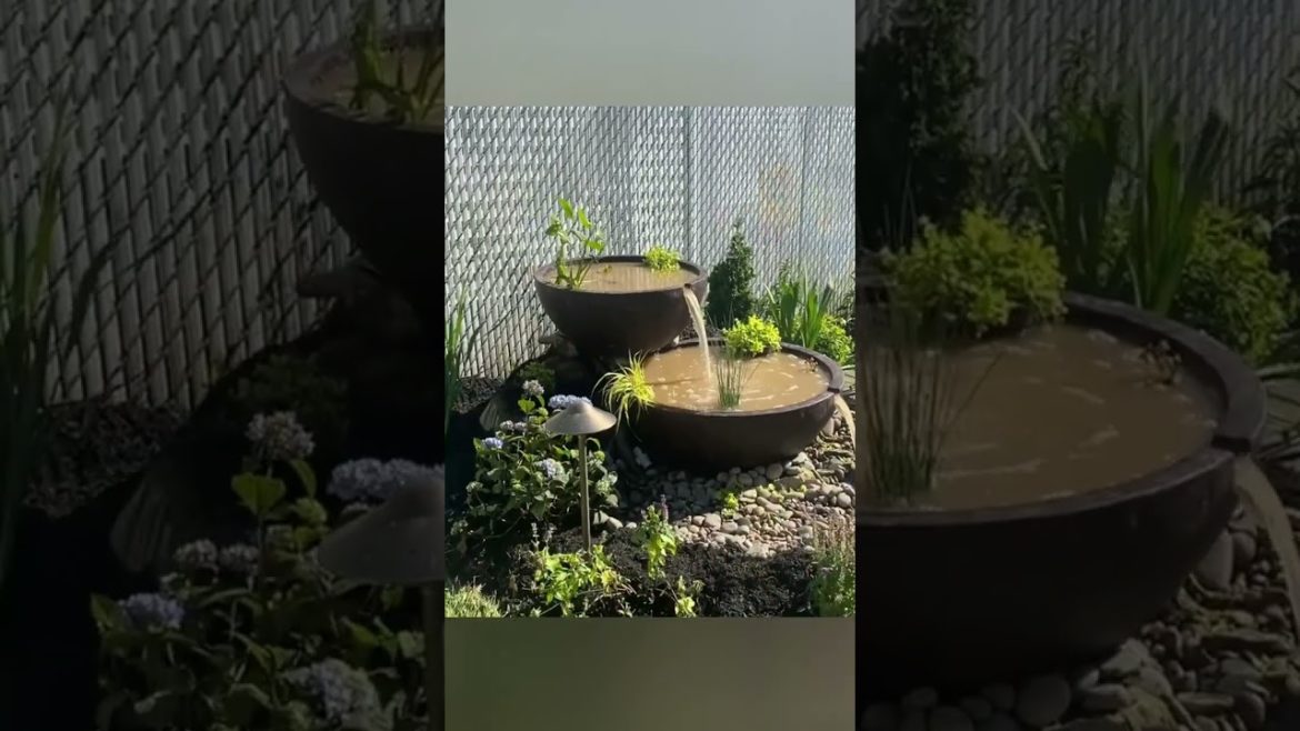 Backyard landscaping Ideas -  A Spill bowl, Lights and Plants