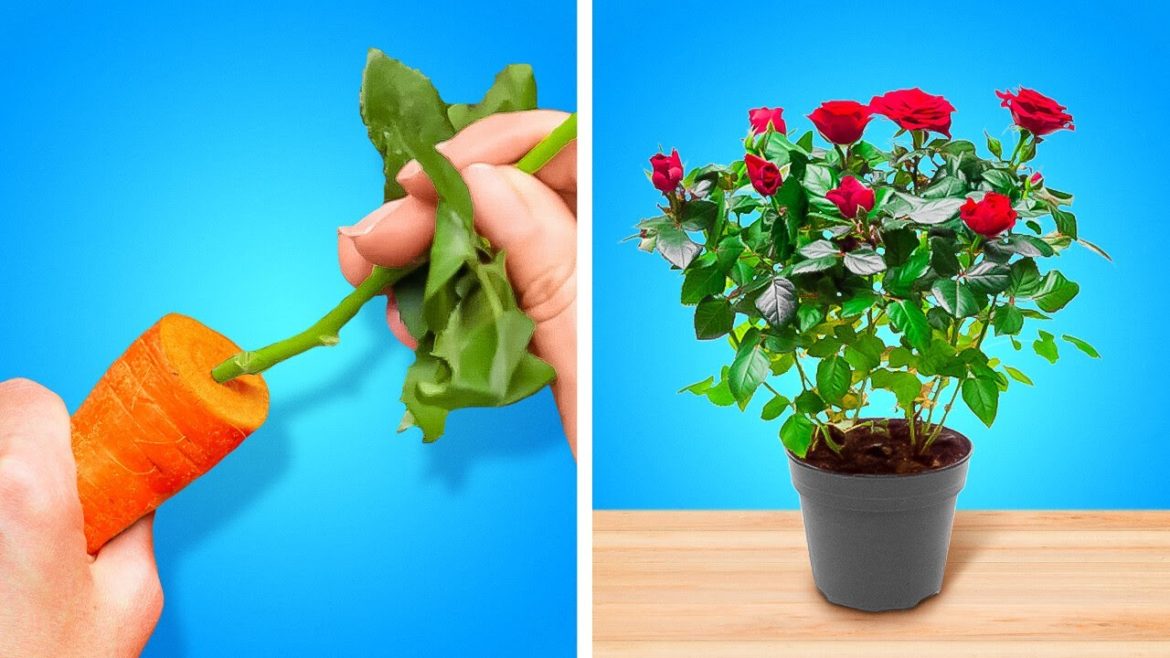 GENIUS GARDENING HACKS TO GROW ANY PLANT EASILY