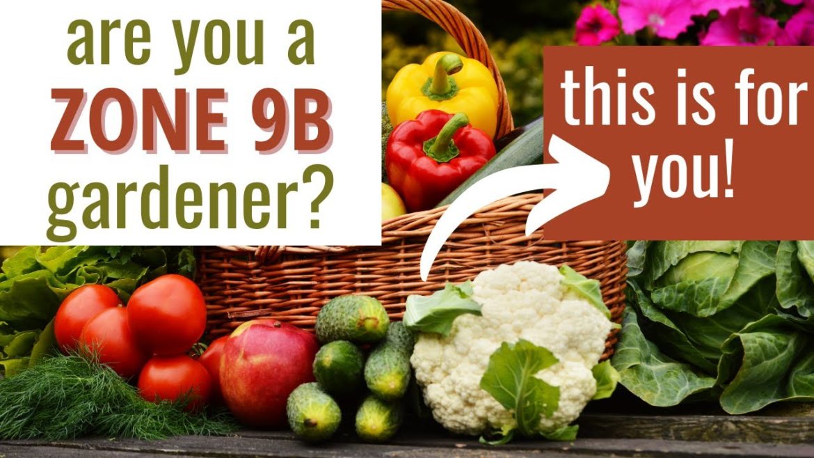 3 Must Have Tips for Zone 9b Gardeners 3 Must Have Tips for Zone 9b Gardeners