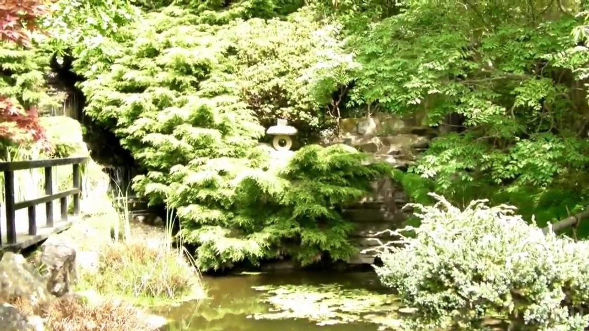 Japanese Garden.MP4