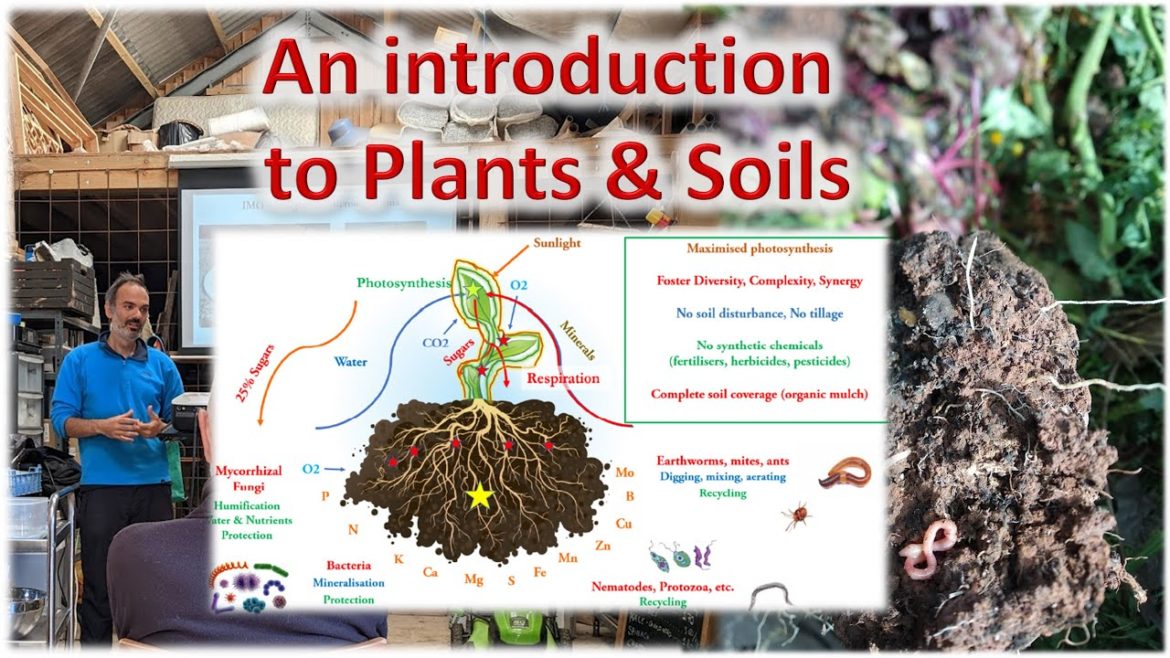 How plants and soil work – an introduction for Regenerative Gardeners How plants and soil work - an introduction for Regenerative Gardeners